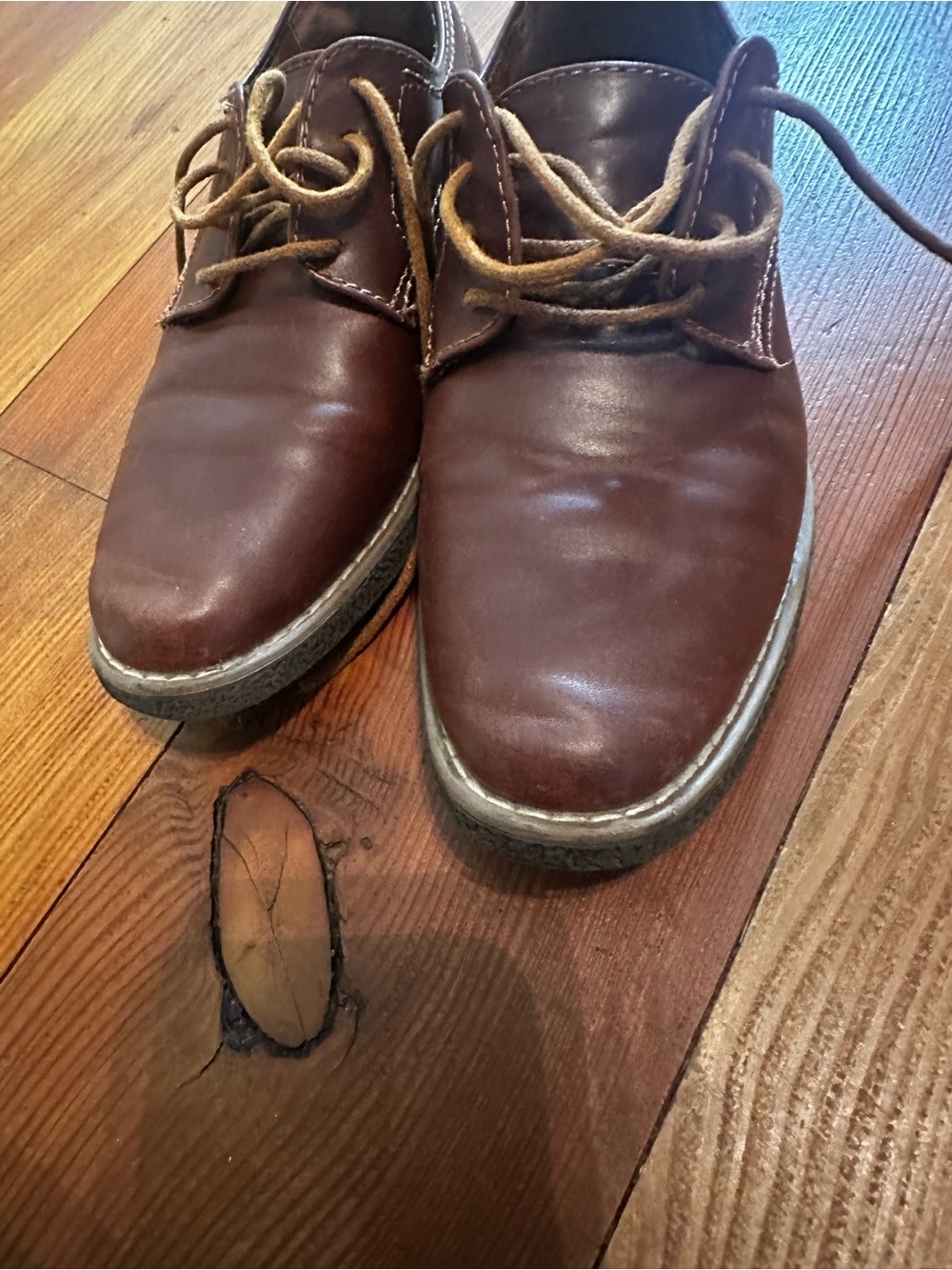 Deer Stags Boys Brown Leather Lace-Up Shoes